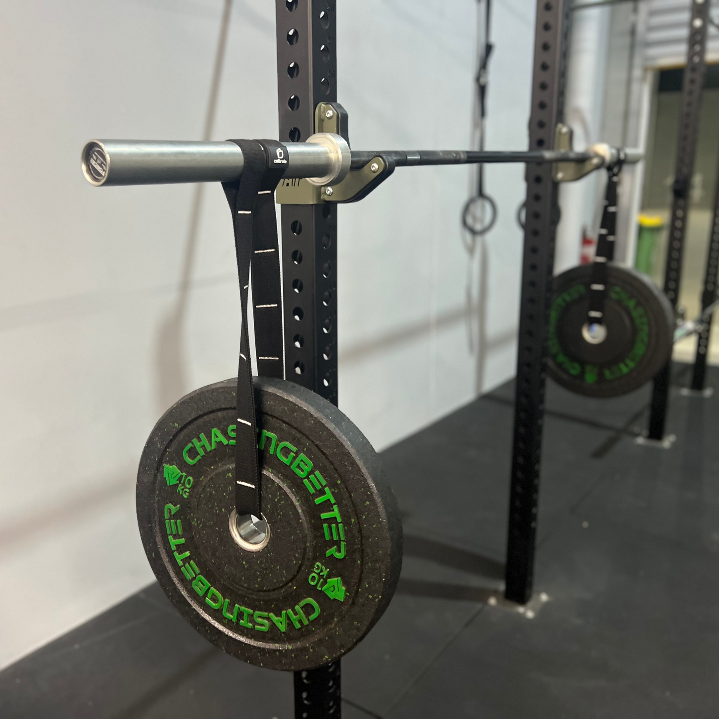CHAOS® Barbell Bands | 2 Pack